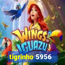 tigrinho 5956